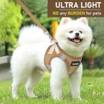 GAMUDA Soft Mesh Pet Harness and Leash Set