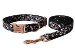Personalized Dog Collar with Engraved Name and Number