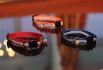Set of 6 Reflective Breakaway Cat Collars