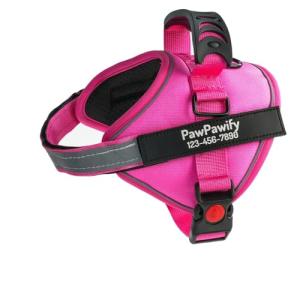 Custom No-Pull Dog Harness with Name & Phone Number