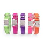 Reflective Dog Collar with Quick Release Buckle