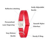 Reflective Dog Collar with Quick Release Buckle