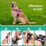 Custom No-Pull Dog Harness with Name & Phone Number