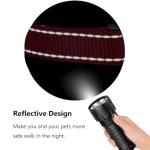 Reflective Dog Collar with Quick Release Buckle