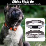 6 Pack Silicone Dog Tag Rubber Band Holders