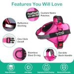 Custom No-Pull Dog Harness with Name & Phone Number