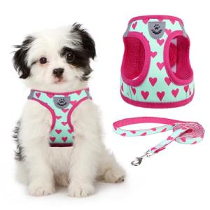 Valentines Dog Harness and Leash Set, Pink Heart