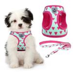 Valentines Dog Harness and Leash Set, Pink Heart