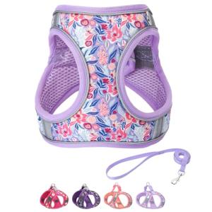 Flower Soft Mesh Dog Harness and Leash Set
