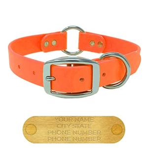 Personalized Large Orange Dog Collar with Engraved Name Plate