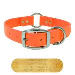 Personalized Large Orange Dog Collar with Engraved Name Plate