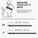 BronzeDog Leather Cat Collar with QR Tag