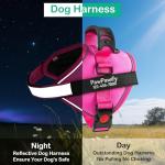 Custom No-Pull Dog Harness with Name & Phone Number