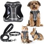 GAMUDA Adjustable Soft Mesh Dog Harness Set