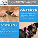 Personalized No Pull Dog Harness with ID - Pink