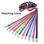 Reflective Dog Collar with Quick Release Buckle