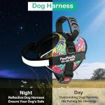 Custom Adjustable No-Pull Dog Harness with Name