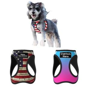 Custom Reflective Dog Harness with Leash and ID