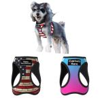 Custom Reflective Dog Harness with Leash and ID