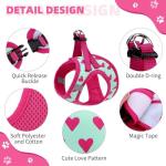 Valentines Dog Harness and Leash Set, Pink Heart
