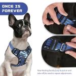 BUMBIN No Pull Dog Harness with Leash - Blue Camo