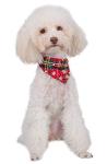 Christmas Dog Collar Set with Leash and Bowtie