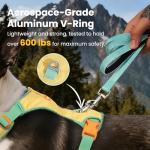 Lightweight Adjustable No-Pull Dog Harness for Small Dogs
