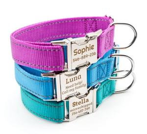 Custom Reflective Dog Collar with Engraved Details