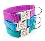 Custom Reflective Dog Collar with Engraved Details