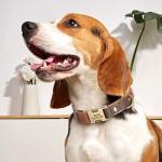 Personalized Soft PU Leather Dog Collar, Medium