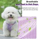 Flower Soft Mesh Dog Harness and Leash Set