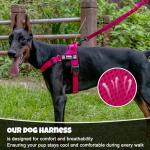 Personalized No-Pull Dog Harness with Patches