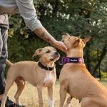 6 Pack Silicone Dog Tag Rubber Band Holders