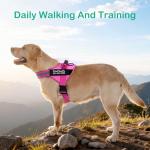 Custom No-Pull Dog Harness with Name & Phone Number