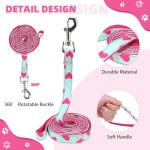 Valentines Dog Harness and Leash Set, Pink Heart