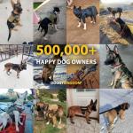 Custom Tactical Dog Harness for Large Breeds