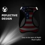 Custom Reflective Dog Harness with Leash and ID