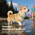 Lightweight Adjustable No-Pull Dog Harness for Small Dogs