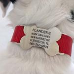 LuckyPet Personalized Stainless Steel Dog ID Tags