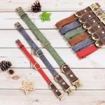 Personalized Soft PU Leather Dog Collar, Medium