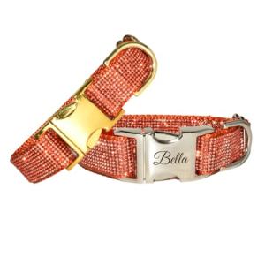 Personalized Orange Rhinestone Dog Collar and Leash