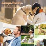 Personalized Soft PU Leather Dog Collar, Small Dogs