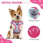 Valentines Dog Harness and Leash Set, Pink Heart