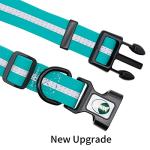 Waterproof Reflective Dog Collar in Emerald Green