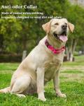 Waterproof Martingale Collar for Dogs - Pink