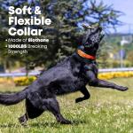 Personalized Large Orange Dog Collar with Engraved Name Plate