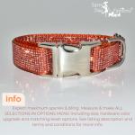 Personalized Orange Rhinestone Dog Collar and Leash