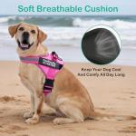 Custom No-Pull Dog Harness with Name & Phone Number