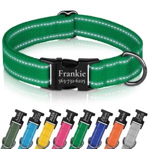 Custom Reflective Dog Collar with Engraved Buckle