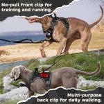 Rabbitgoo XL Tactical Dog Harness - No Pull Training
